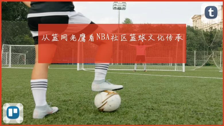 从篮网老鹰看NBA社区篮球文化传承