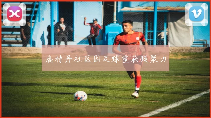 鹿特丹社区因足球重获凝聚力
