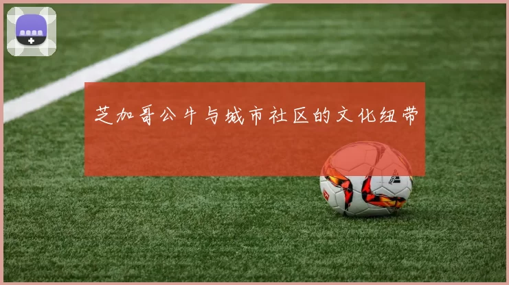 芝加哥公牛与城市社区的文化纽带