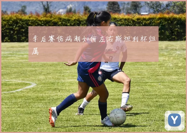 季后赛伤病潮如何左右斯坦利杯归属
