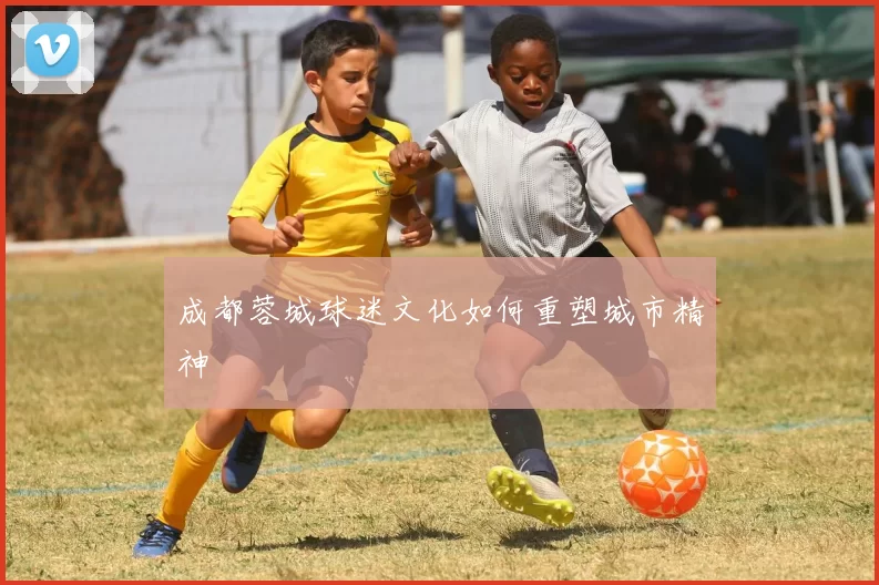 成都蓉城球迷文化如何重塑城市精神